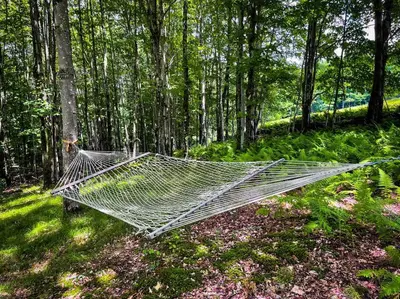 a hammock sitting in the middle of a forest at Mountain Brook Cabin in Bovina Center