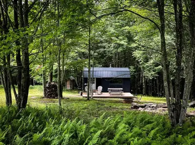 a blue tent in the middle of a forest at Mountain Brook Cabin in Bovina Center