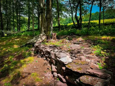 a stone wall in the middle of a forest at Mountain Brook Cabin in Bovina Center
