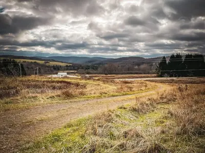 a dirt road in the middle of a field at Hamden Hill House in Hamden