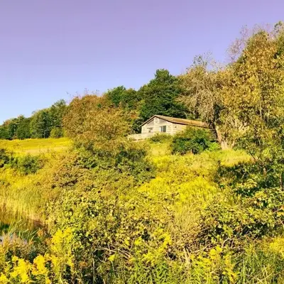 Hamden Hill House