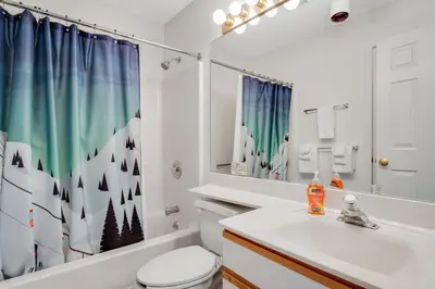 a bathroom with a sink and a toilet and a shower curtain at Skiing Haven in Dover