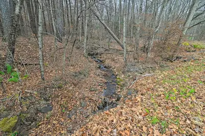 a trail in the woods with leaves on the ground at Cozy Catskills Escape, 3 Mi to Plattekill Mtn in Roxbury