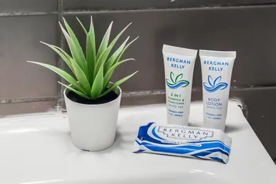 a potted plant and two products on a bathroom counter at Gorgeous 1BR Wooster Sq. apt. - wshr/dryr, parking in New Haven