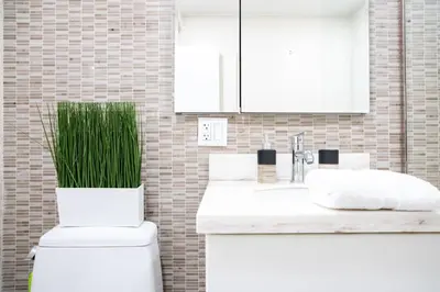 a bathroom with a toilet with a green plant on it at 809-3B Columbus Circle W D new BLDG Balcony in New York