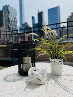 a table with a plant and a pair of shoes on it at 809-6A NEW 2BR Private Roof & City View in New York