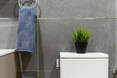 a bathroom with a blue towel and a plant on a toilet at 1597-3 Studio Upper East Side Apt W&D in unit in New York
