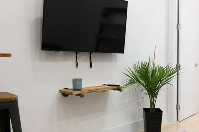 a flat screen tv hanging on a wall with a plant at 78-4D Quality 1br W&D SKYLIGHT By Central Park in New York