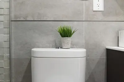 a white toilet with a plant on top of it at 75-1B NEW Prime Upper East W D Elevator in New York