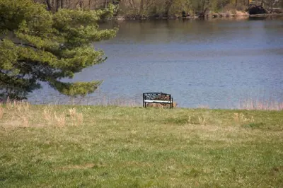 a bench sitting in the grass next to a lake at Private Lakeview Cottage and 2 Farmhouse Apartments near Rt 80 easy to NYC in Blairstown