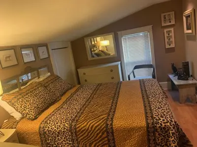 a bedroom with a large bed with a leopard print blanket at A Bonnie Place in Oneonta
