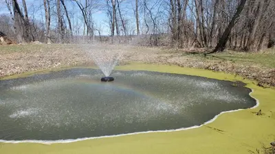 a fountain in a pond with green water at Hilltop Mansion at Rebecca's Fountain in Niskayuna