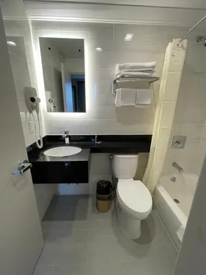a bathroom with a toilet and a sink and a mirror at Royal Hotel Bronx in Bronx