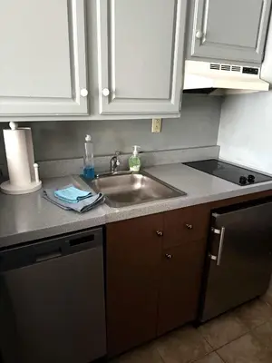 a kitchen counter with a sink and a dishwasher at Gorgeous 1st FL Mtn View Jiminy Suite Sleeps 4 Ski On Off in Hancock