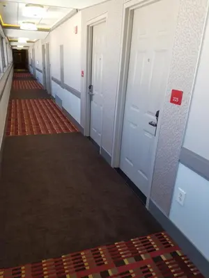 a hallway with two white doors and a carpet at Commack Inn in Commack