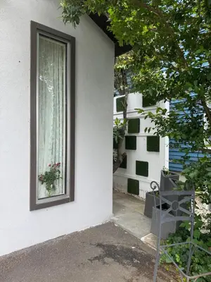 a window of a white house with a plant in it at California guest house in Greenwich