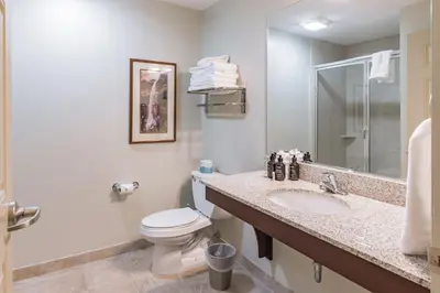 a bathroom with a toilet and a sink and a mirror at Slopeside Ski-In/Ski-Out ; HotTub ; 2 Room 2 Bath in Hunter