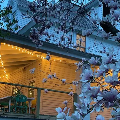 a tree with white flowers in front of a house at 1850 Catskills Farmhouse on 8 acres in E. Durham in East Durham