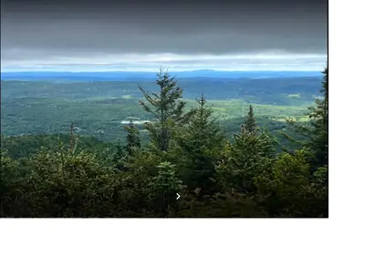a view from the top of a mountain with trees at The Brookside Lodge & Cottage in Dover