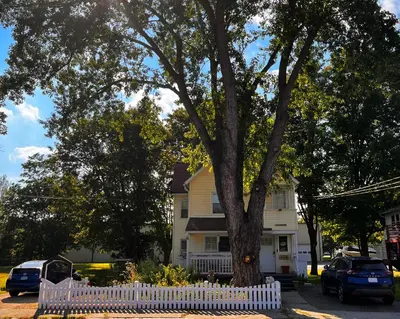a white fence around a tree in front of a house at Cozy Tiny Haus Apt in Torrington