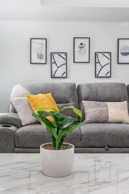 a living room with a couch and a potted plant at Exquisite Downtown Loft Apartment in Hartford
