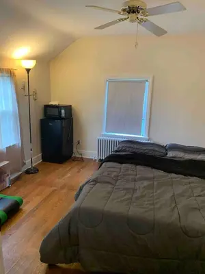 a bedroom with a bed and a ceiling fan at Luke's BnB in Albany