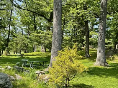 a park with a picnic table and trees at Luxury Suite with water view - 2 mini bedrooms in Greenwich