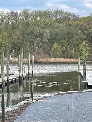 a dock in a body of water with trees at Luxury Suite with water view - 2 mini bedrooms in Greenwich