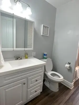 a bathroom with a white sink and a toilet at Triple Play Apt 1 All Star Baseball Rentals in Oneonta
