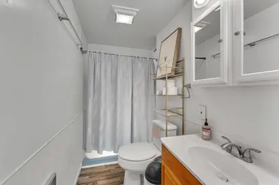 a bathroom with a toilet and a sink and a mirror at Babe Ruth Apt 2 All Star Baseball Rentals in Oneonta