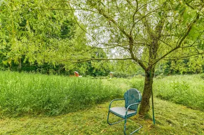 a chair sitting next to a tree in a field at Cozy Catskills Vacation Rental with Deck! in Fleischmanns