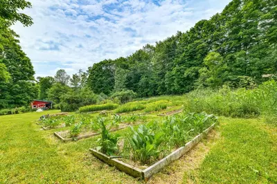 a garden with many plants in a field at Cozy Catskills Vacation Rental with Deck! in Fleischmanns