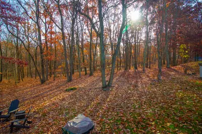 a park bench sitting in the middle of a forest at Stunning Poconos Villa- Hot Tub, Pool, Game Room, BBQ & more in East Stroudsburg