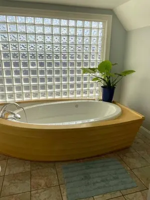 a bath tub with a potted plant in front of a window at A little place in the Sun in Milford